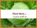 Flowers - Botanical Quiz about Beautiful Plants related image