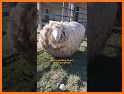Merge Farm : Animal Rescue related image