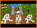 Dog Run - Pet Greyhound Dog Simulator Race 3D 2020 related image