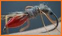 Mosquito Fly related image