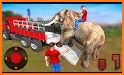 Animal Pickup Truck Cargo Transport Driver related image