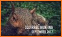 Squirrel Hunting Calls related image