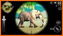 Wild Dino Hunter 3D-Wild Animal Hunting & Shooting related image