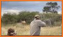 Safari Hunting: Wild Animal related image
