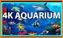 Fish Live Wallpaper 3D Aquarium Background HD 2018 related image