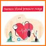 Blood Pressure Diary : BP Records History Tracker related image
