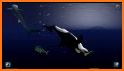 Sea Dolphin Pool Show: Animal Ocean Simulator🐬 related image