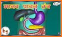 Portion Up - The Gastric Guru related image