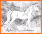 Horse Coloring Book related image