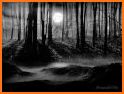 Dark Night Magic Wolf Theme related image