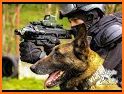 Police K9 Dog Training School: Special Force related image