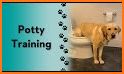Toilet : Sound Prank related image