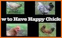 Happy Chicken 2 related image