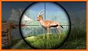 CLASSIC DEER HUNTER 2020:SNIPER SHOOTER related image