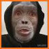 The Mask Monkey Rescue related image