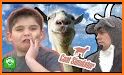 Crazy Goat Family Survival related image