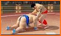 Sumo Wrestling - Grand Sumo Game : Revolution related image