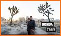 Hiking Guide: Joshua Tree related image