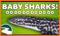 Spotted Baby Shark related image