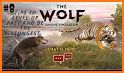 The Wolf Simulator related image