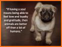 Pet Quotes related image