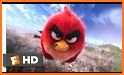 Angry Flying Birds related image