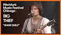 Pitchfork Music Festival related image
