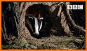 Explore Badger Lands related image