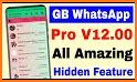 GBwhatsahp Pro Plus V. 12.9 related image