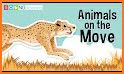 Animals on the Move related image