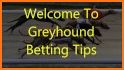 Sports betting tips - Top Dogs related image