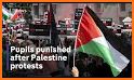 eschool palestine related image