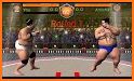 Royal Wrestling Cage: Sumo Fighting Game related image