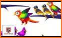 Bird Sort Puzzle: Color Sort related image
