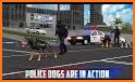 Police Dog Simulator 3D related image