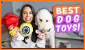 BarkBox - Dog Toy & Treat Box related image
