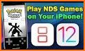 NDS Gold Emulator Pro related image