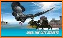City Bird Pigeon Simulator 3D related image
