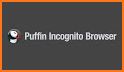 Puffin Incognito Browser related image
