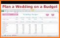 Wedding Budget Tracker related image