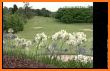 Royal Queensland Golf Club related image