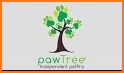 My pawTree related image