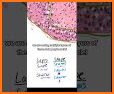 AnatLab Histology related image