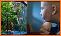 Aquarium for kids - Fish tank related image