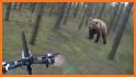 Bear Chasing related image