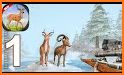 Wild Animal Deer Hunting Adventure Shooting Games related image