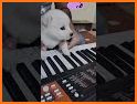 Cute Puppy White Keyboard Background related image