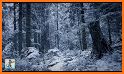 Snowfall Sounds HD: Peaceful, Relax, Meditate related image