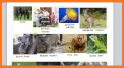 Picture Dictionary - Animals related image