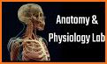 Anatomy & Physiology in a Flash!: Interactive App related image